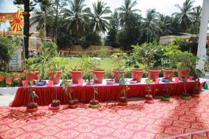 Kalp taruh (15)
