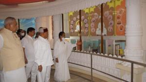 Kalp taruh (57)