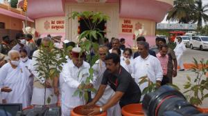 Kalp taruh (58)